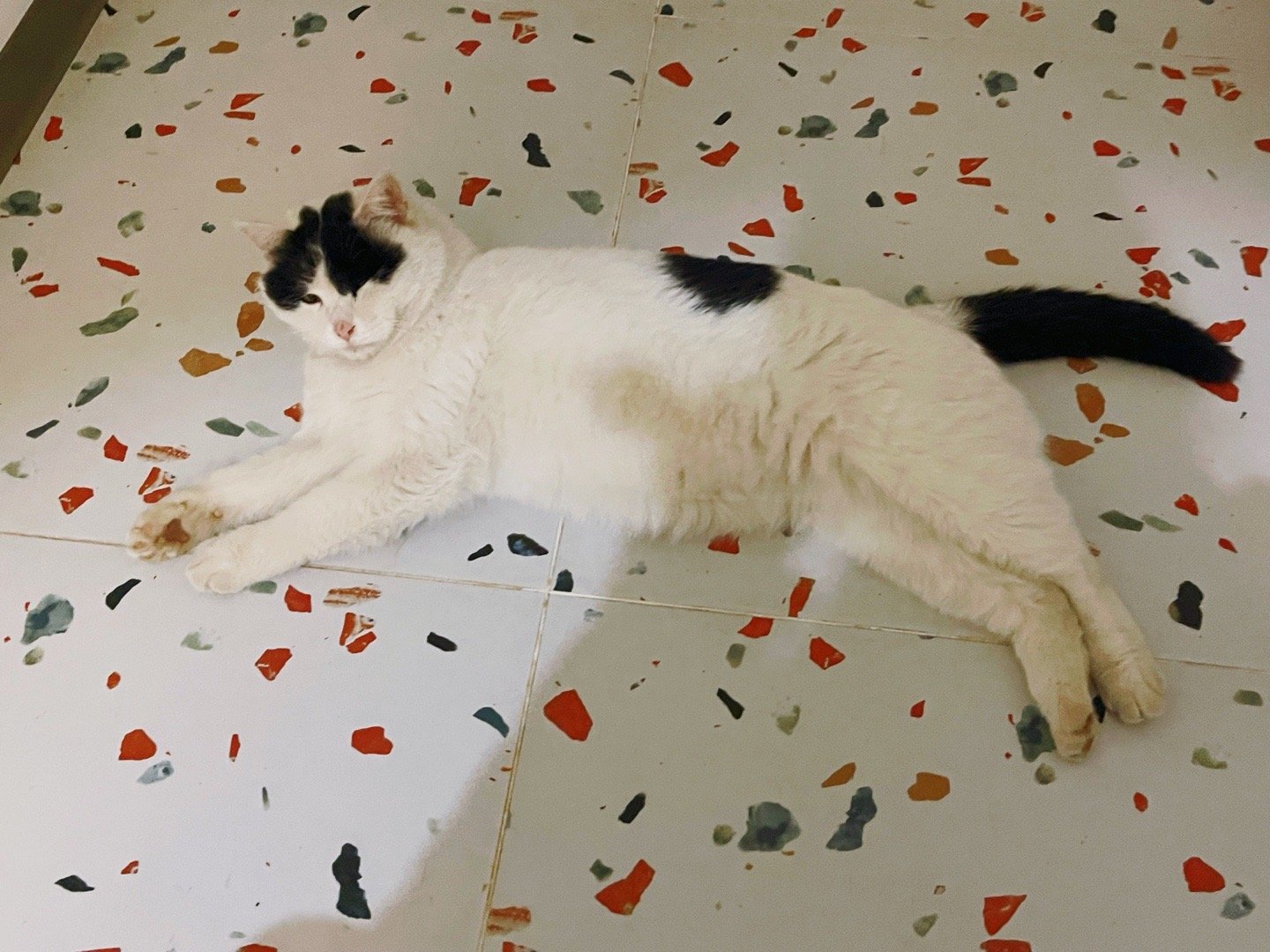 冬日里的煤气罐罐们。都特别好撸。 