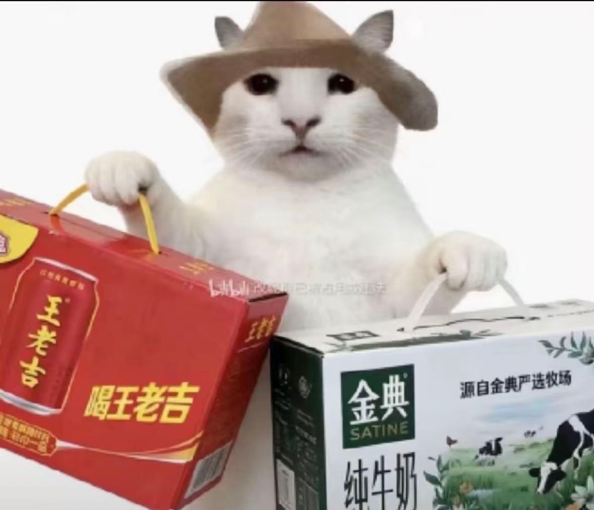 大家五一节准备去哪里玩？ 