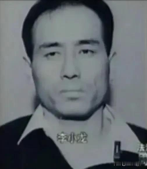李小龙所犯下的罪行难以告罄，父母给他起的这个名字也真是败坏了这个好名字。
李小龙