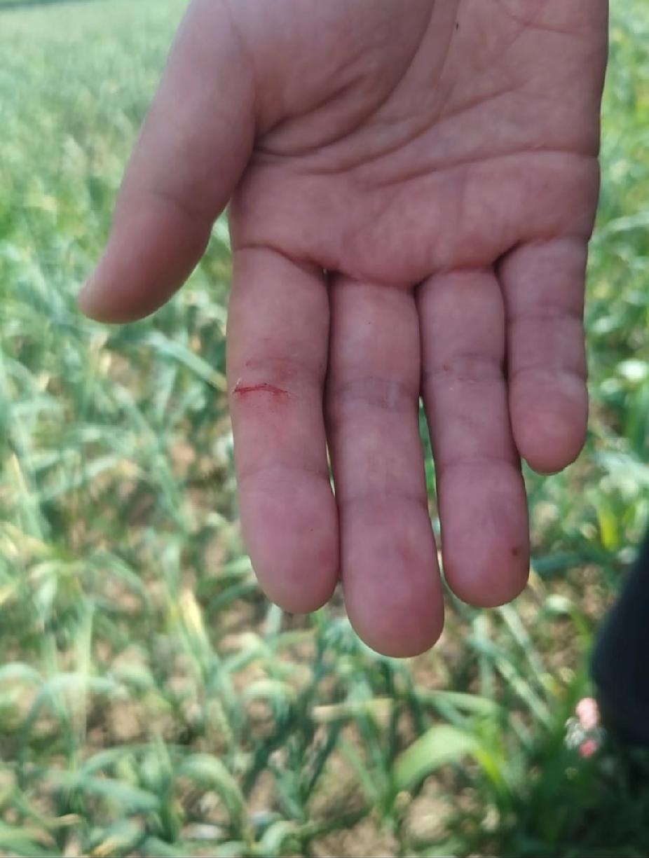 五一劳动节，幸福的从来不是休几天，
而是能在忙碌的日子里，偷得片刻的温柔与松弛。