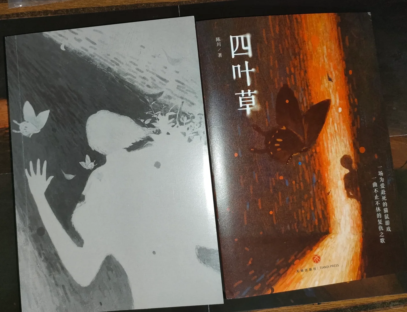 【推书】No.080校园霸凌何时休