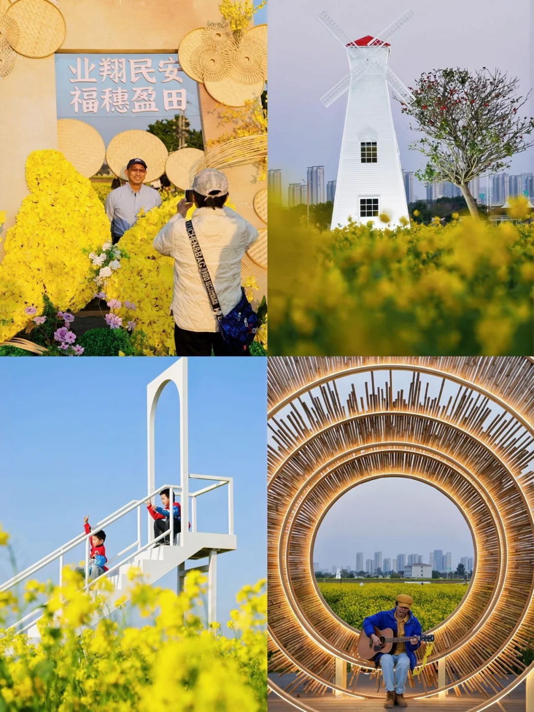 厦门油菜花·把爱意种进金色花海