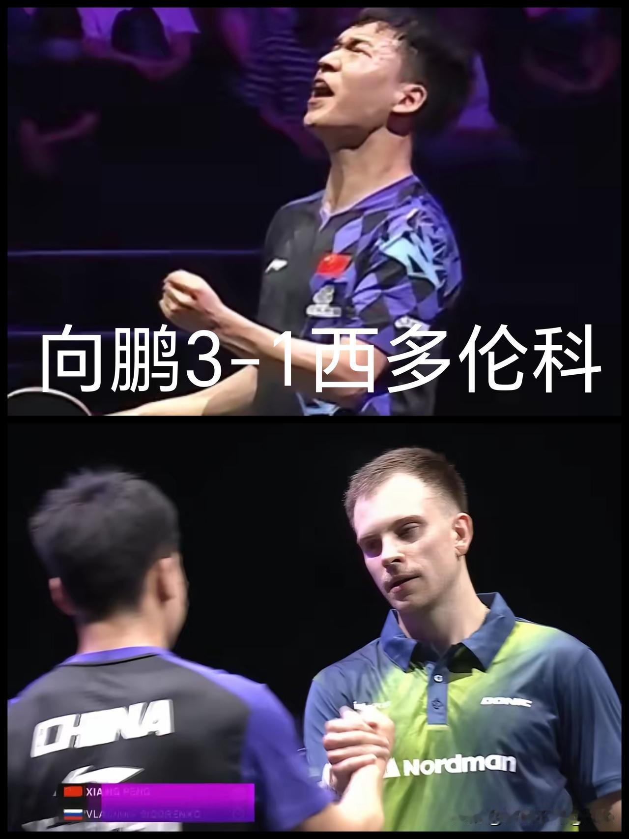 向鹏厉害了，3：1赢了美国大满贯亚军得主西多伦科，晋级16强。

看来国乒也是有