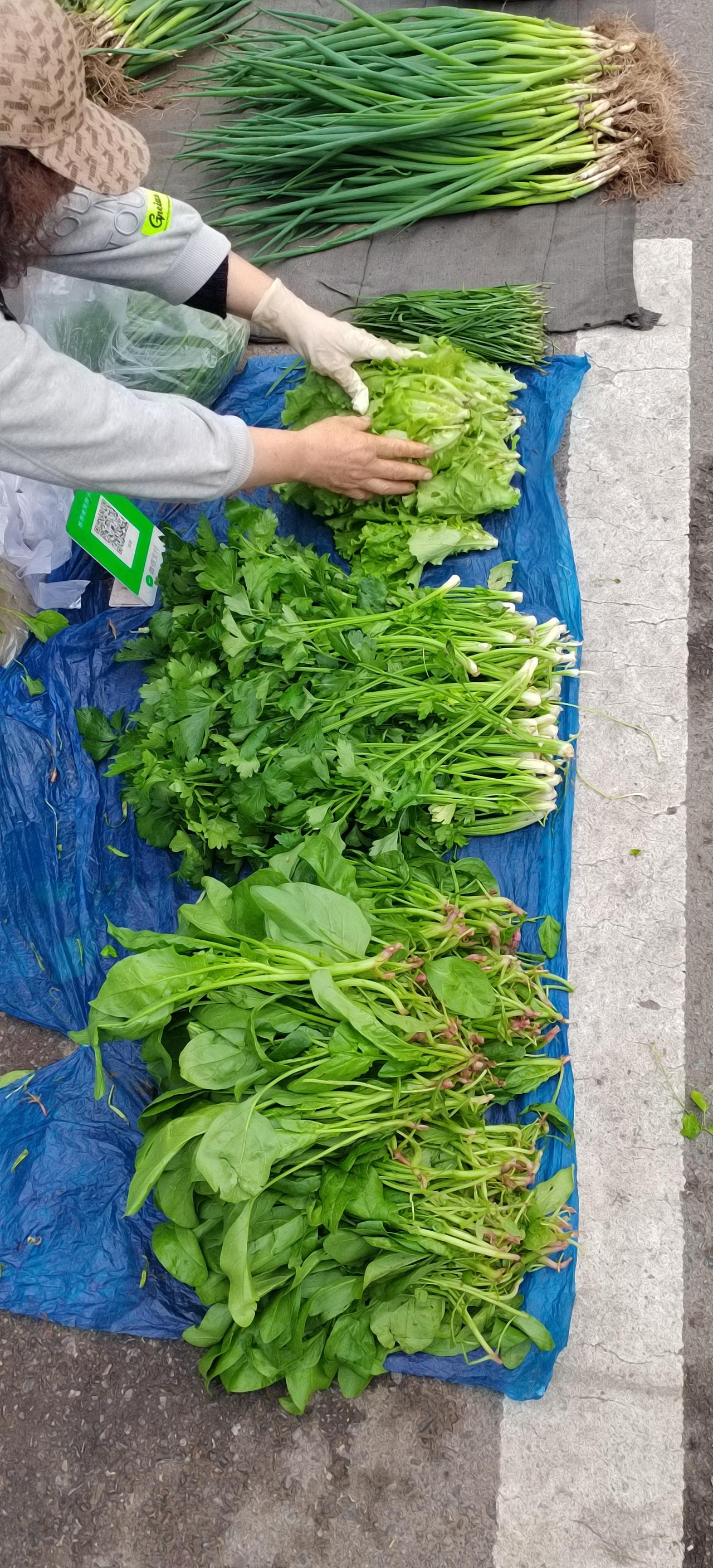 葫芦岛凌云早市：人间烟火五月天

五月的葫芦岛，晨光温柔，风里裹着浅夏的清甜。葫