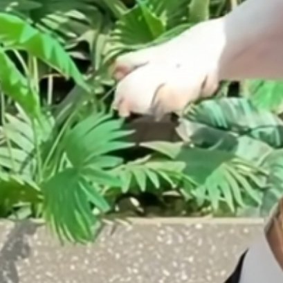 简单生活，慢慢爱你😘用心与耐心感受美好，奶萌小猪仔健康快乐平安 