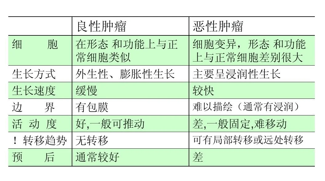 恶性肿瘤和良性肿瘤有何区别？