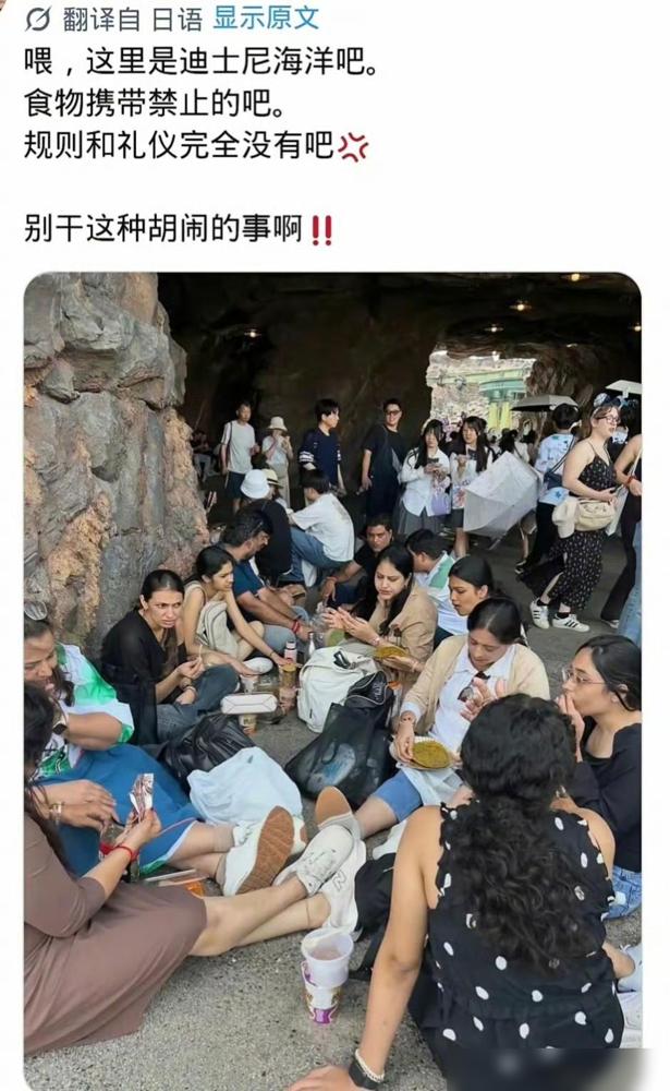 印度人是真的不惯迪士尼臭毛病啊！

之前迪士尼在不少国家的园区都搞过禁带食物的霸
