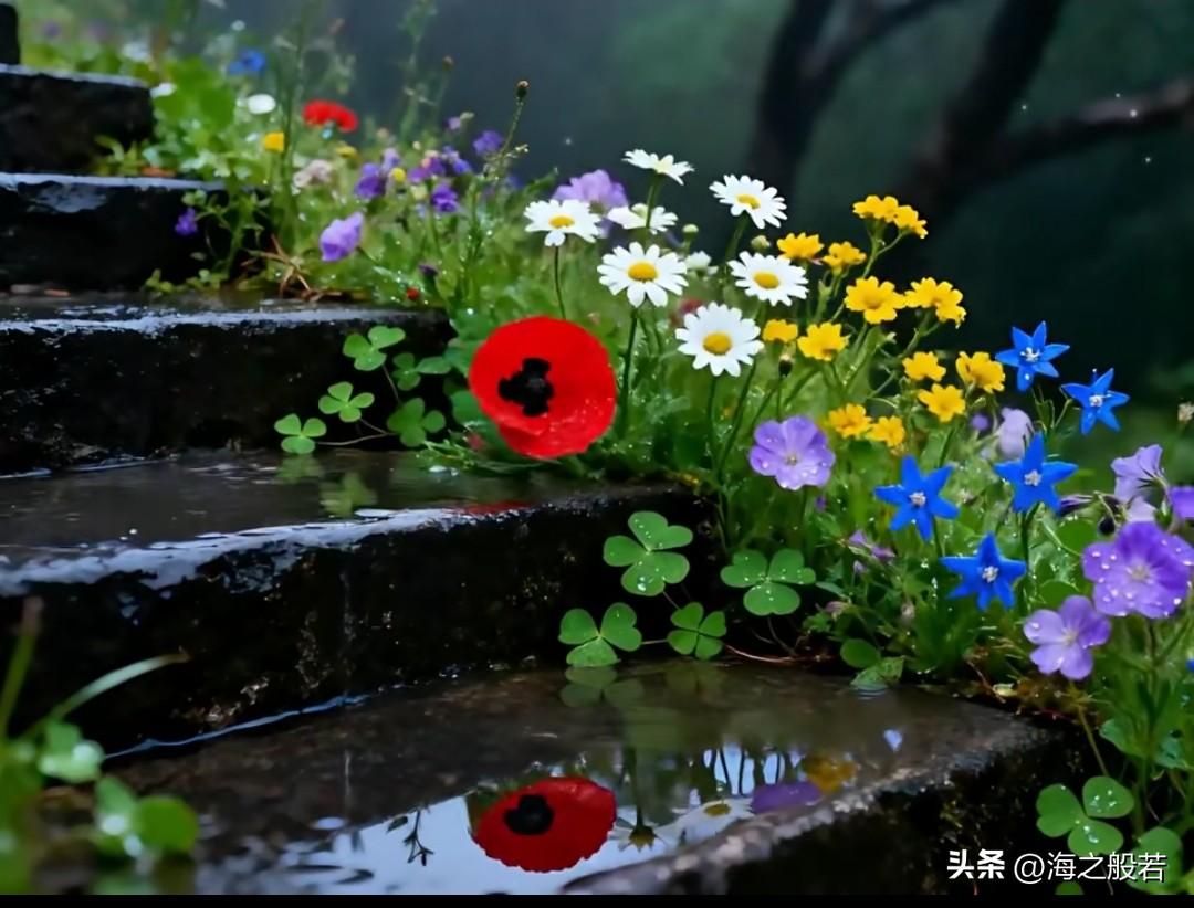 给姐妹们分享一个护肤的小妙招。

皮肤需要补水，这不是不对，只是水分容易挥发，皮