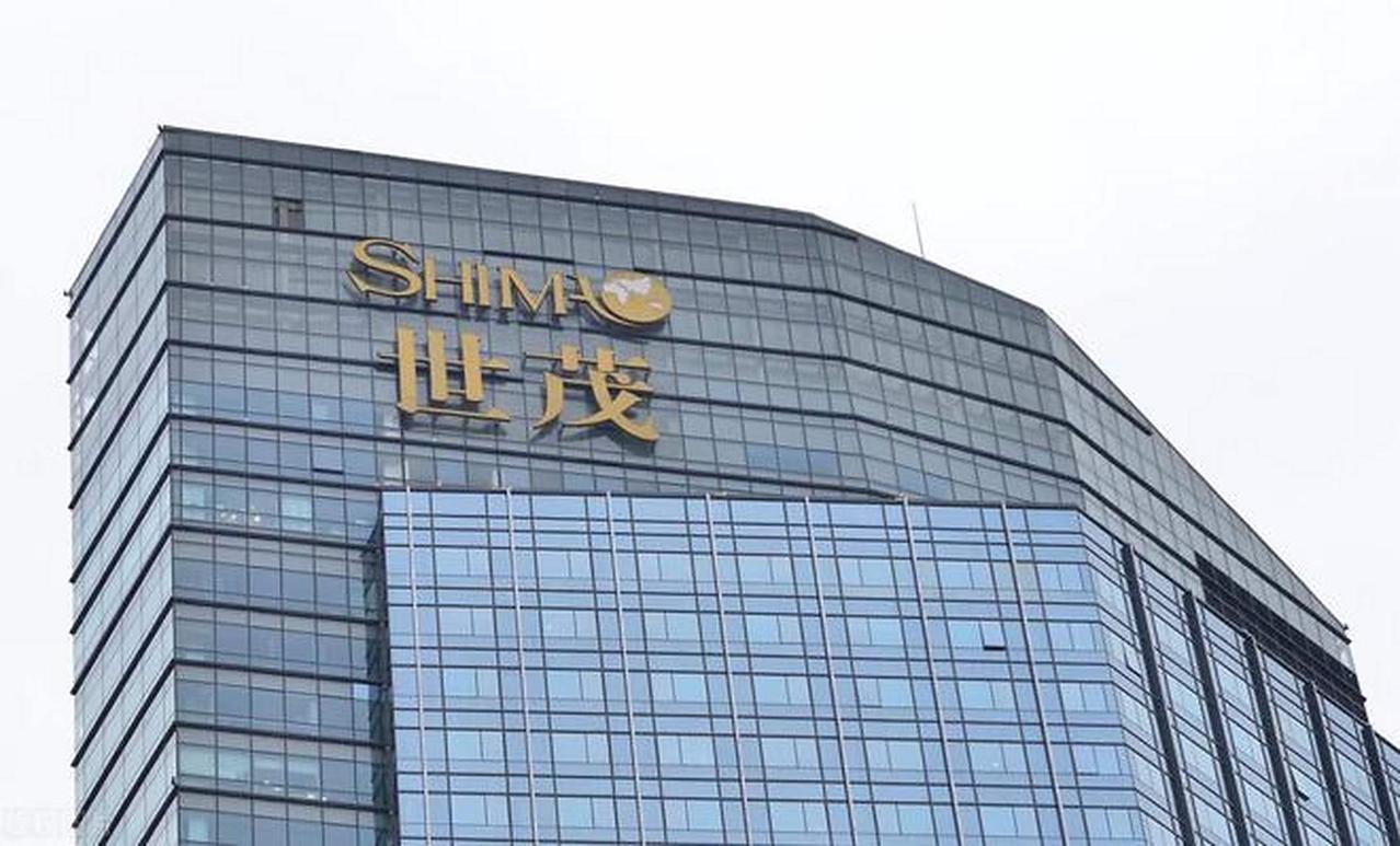 世茂集团已有本金金额约238亿元人民币的境内贷款在2025年成功获得展期，其中最