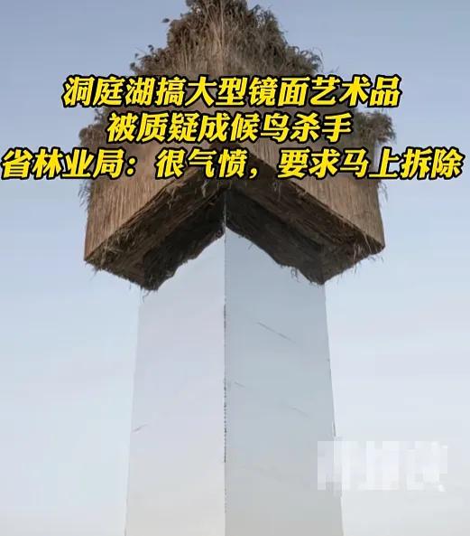 动物保护是基本常识，洞庭湖巨型镜面被要求拆除
我们都知道这个鸟类对很多景物的感受