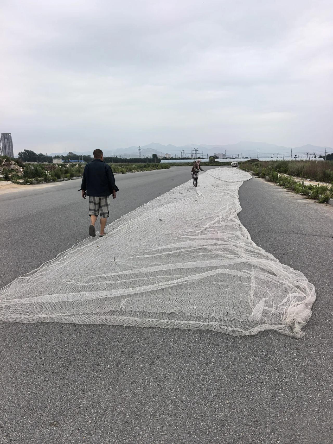 骑行遇见新鲜事物
记录我的2026
路遇一农民老弟在路面上晾网，网眼很小，我以为