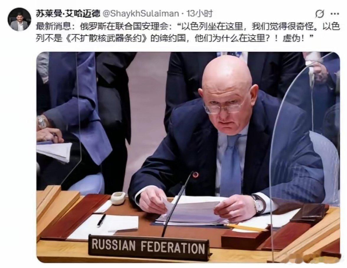 俄罗斯在联合国安理会：“以色列坐在这里，我们觉得很奇怪。以色列不是《不扩散核武器