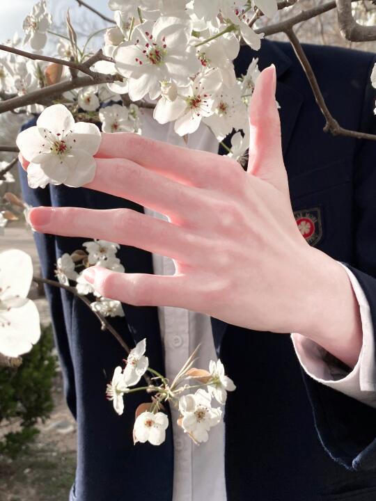 春风有信