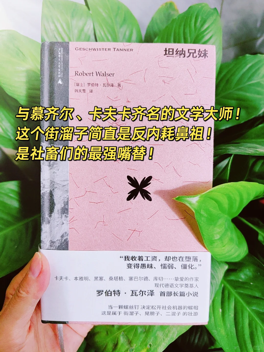 20世纪最被低估的作家”是个街溜子！🌟