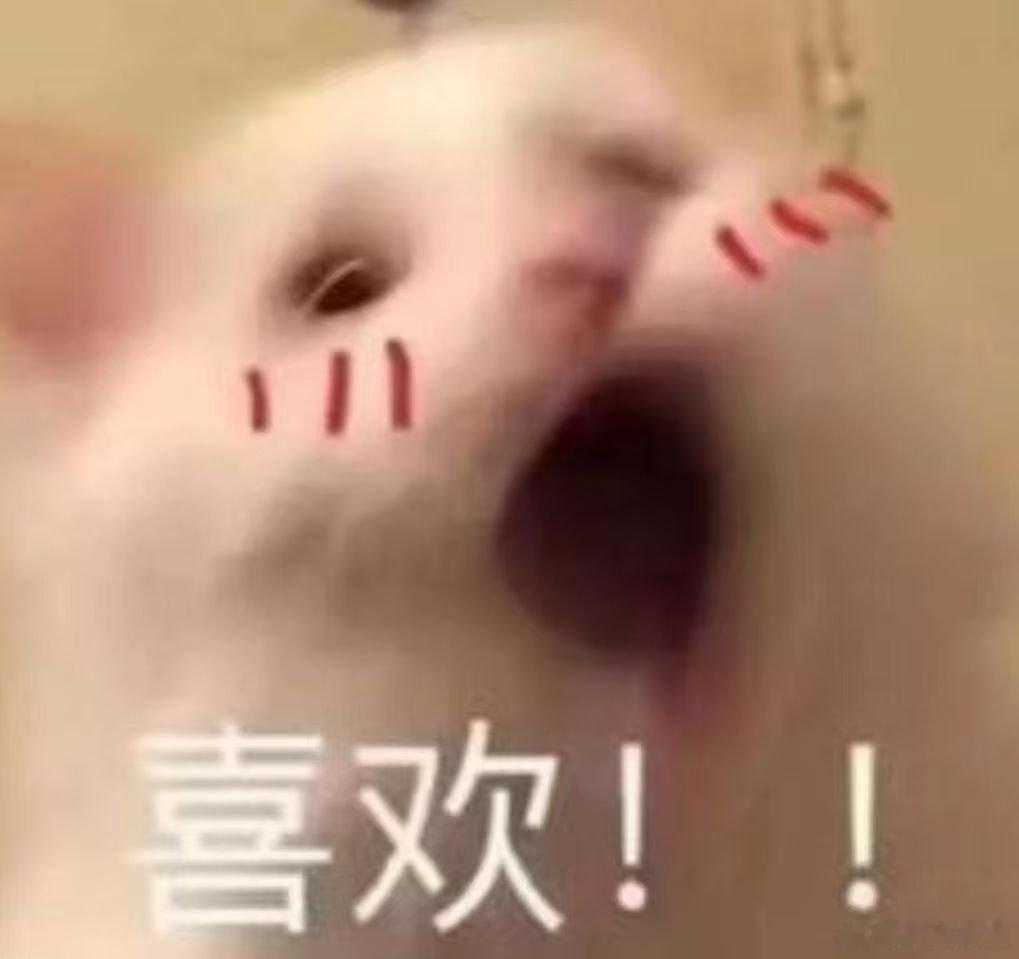 最适合我开的赛车出现了 光是听到它的声浪就觉得过瘾，那种浑厚有力的声响，瞬间就能