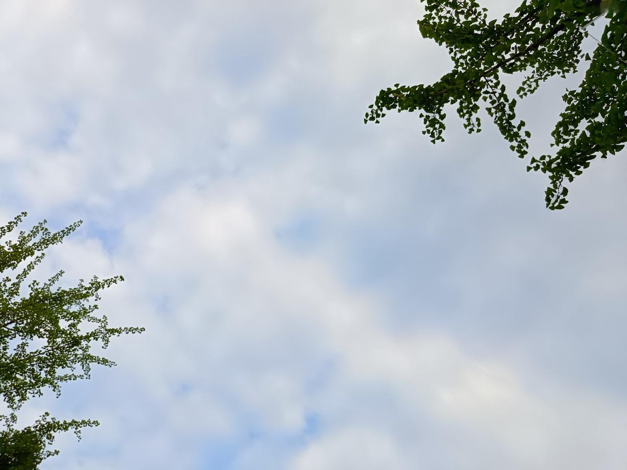 大娘说：“我年轻的时候命很苦， 才二十多岁的年纪，老公就因意外去世了，当时女儿才