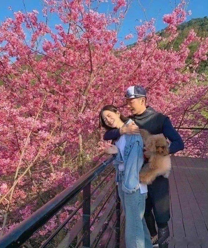曾之乔和辰亦儒竟然是夫妻！他们何时开始恋爱 ​​​