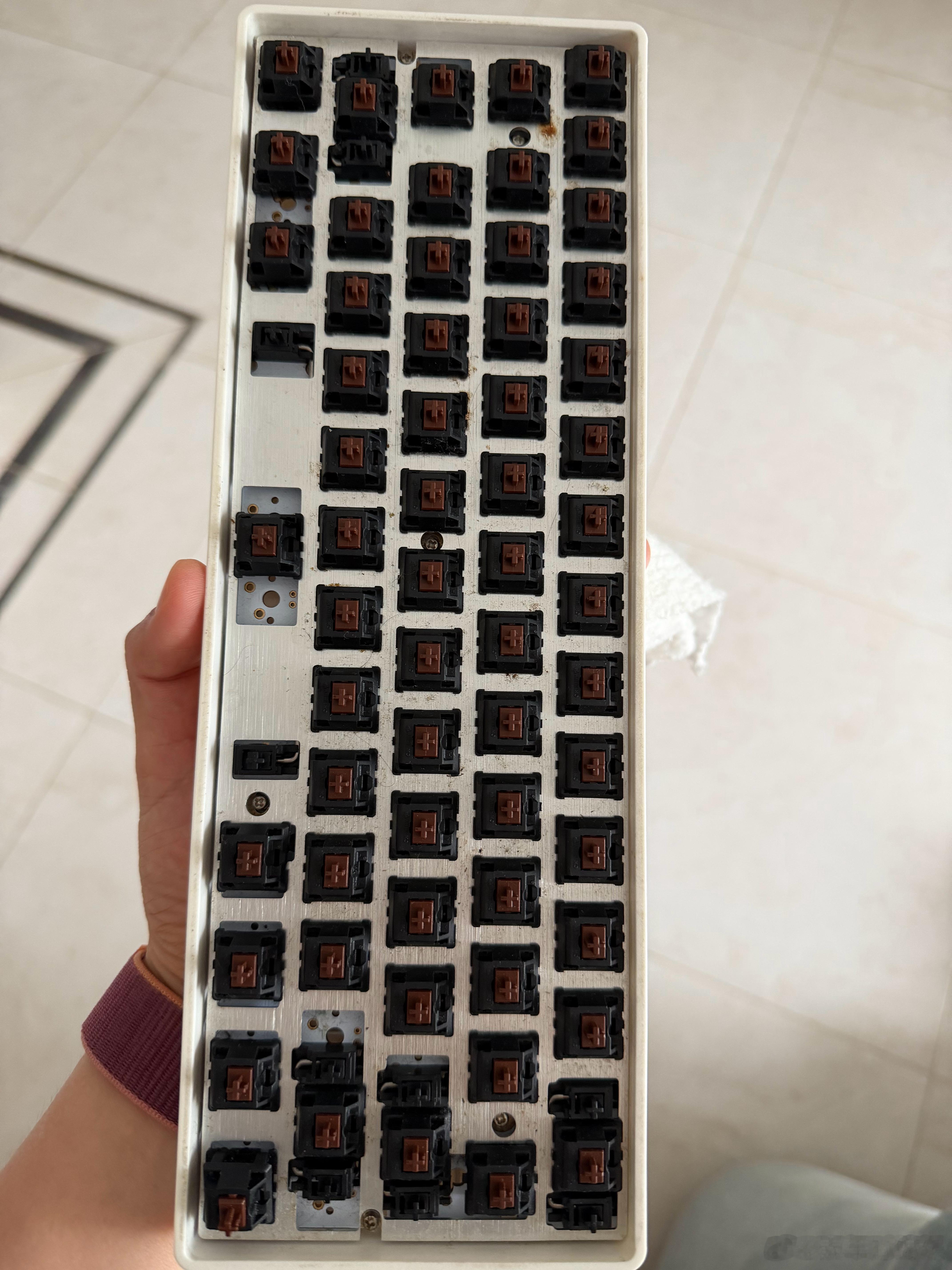 清洁开始，这个键盘也太脏啦感觉每天手在灰尘里跳舞啦我的暑假结算画面
