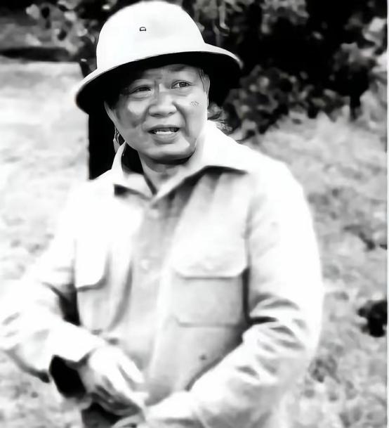 1964年，段希文带着国民党残军将武器上缴给了泰军，不料当晚，就有大股武装袭击美