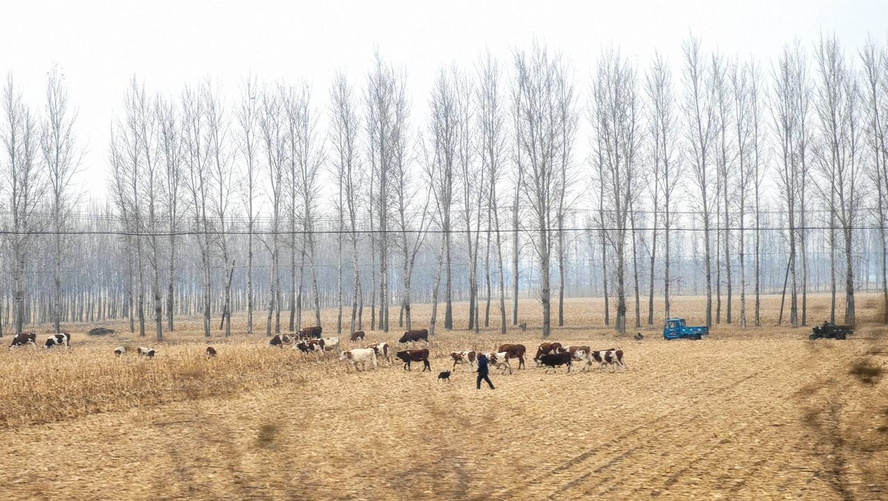 走了太多地方，我慢慢变成了一个“地方观察员”。

不知何时起，对大多数旅行都提不