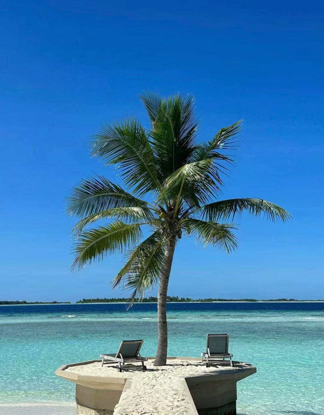 持有东芯已逾半年，行情起伏间，市场声音纷繁复杂。每每看到多位雪球大V在高位精准“