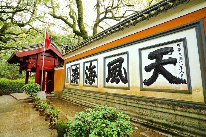 浙江·舟山·普陀山，绿树掩映之下，是清净的心。 ​ ​​​
