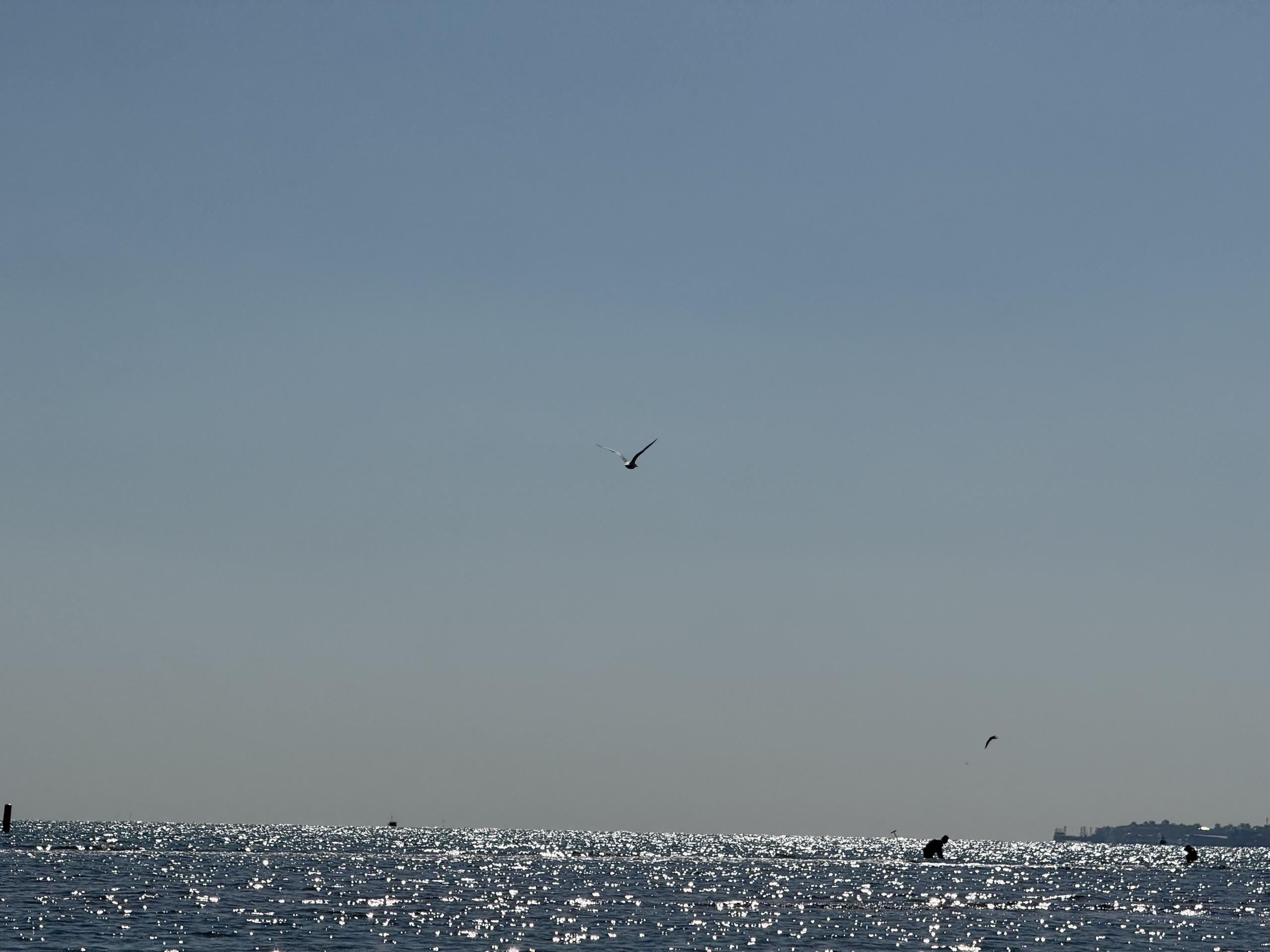这几张照片，能写出什么样的小作文呢
