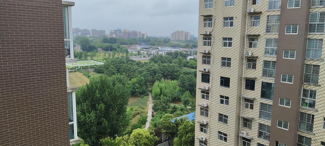 身居闹市藏野趣！高楼俯瞰城市边角，田园绿意治愈日常
 
站在高层窗边向外眺望，一