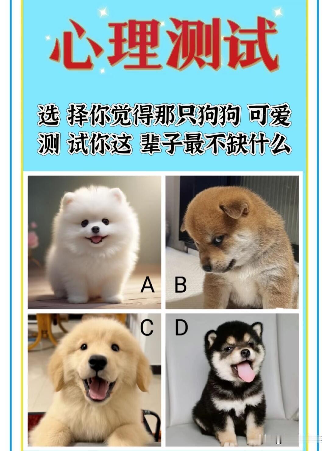 选 择你觉得那只狗狗 可爱测 试你这 辈子最不缺什么