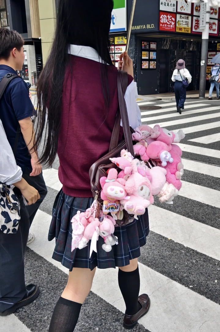 一代人有一代人的挂件 妈妈年轻时用丝巾系着钥匙串，我现在把星黛露挂在包上晃悠。看