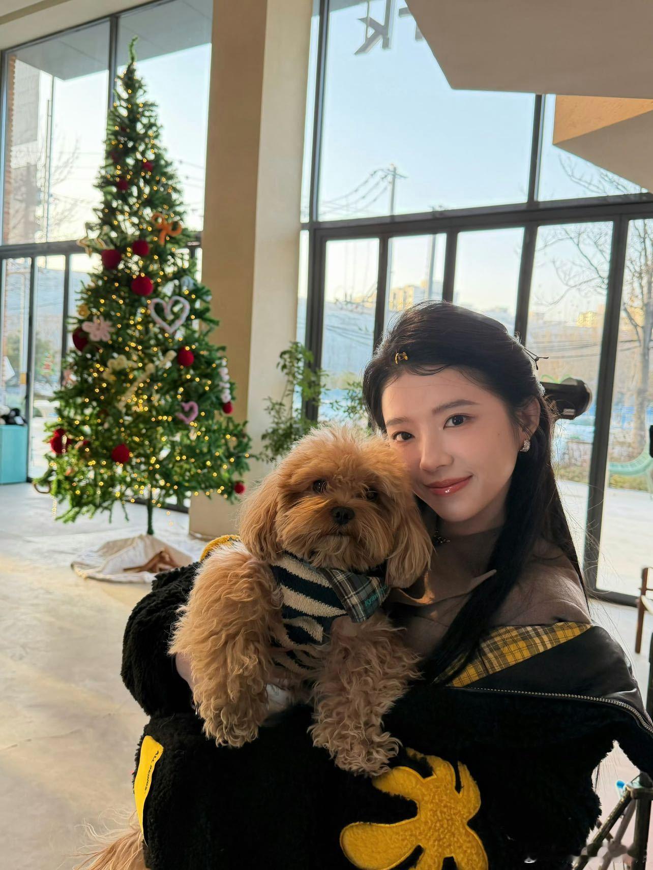 何蓝逗我就说追星也有用吧 为了帮何蓝逗做数据，学会了各种数据统计方法，现在工作中