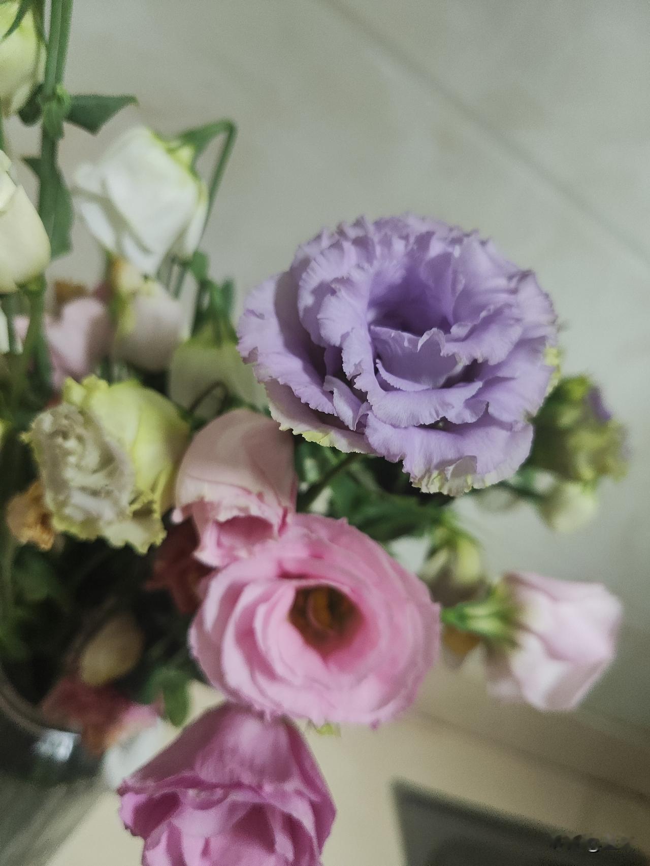 年年岁岁花相似，岁岁年年人不同～