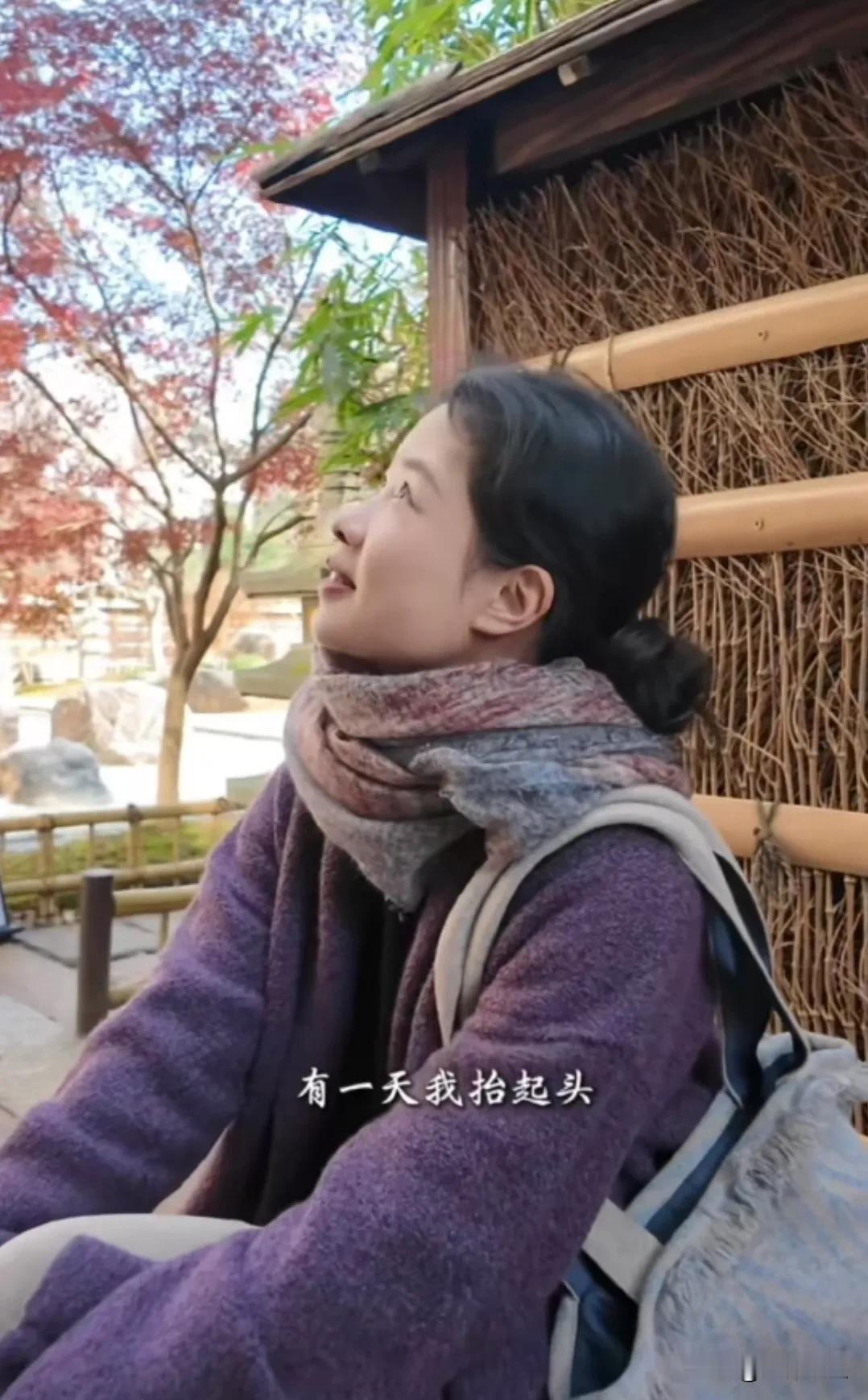 12月的某一天，我抬起头，突然发现：

1、世界很美，特别在独处的时候。
2、坐