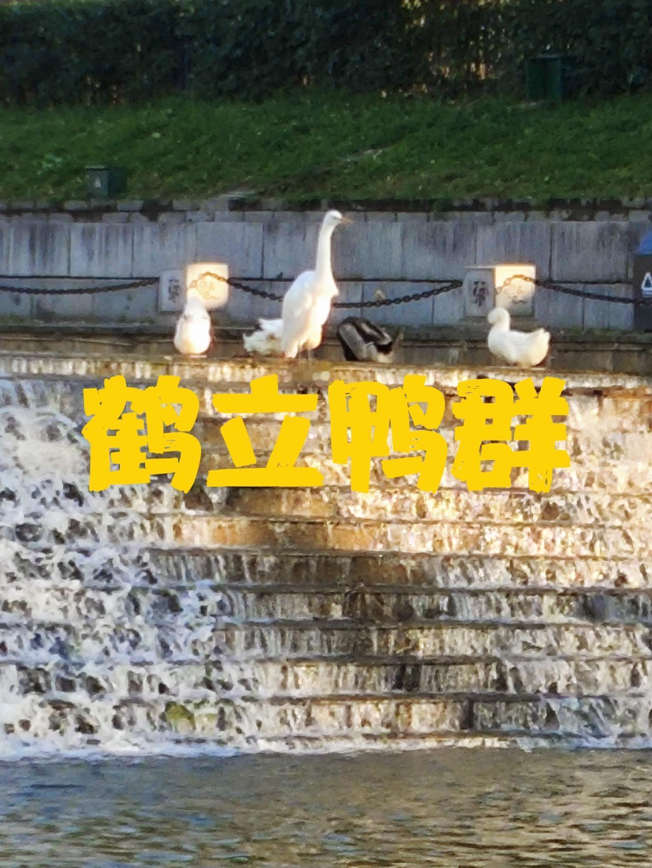 特朗普的态度

自从关税大战特朗普没赢得中国以来，我总觉得特朗普的态度暧昧不清！