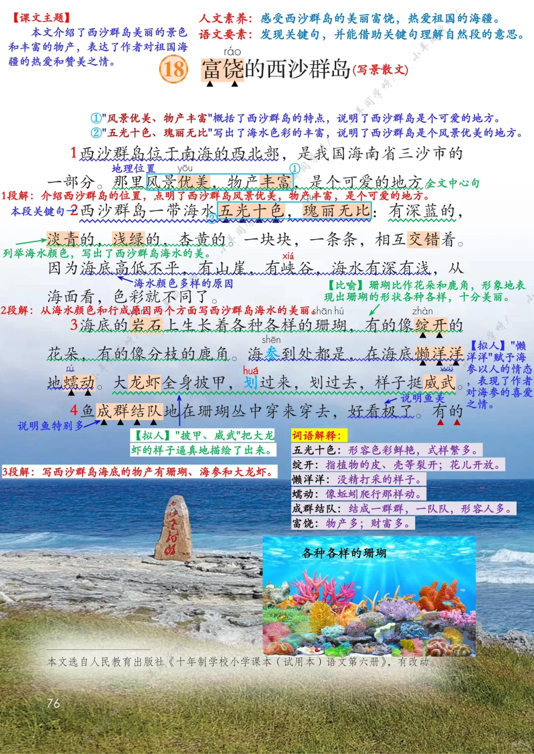 三年级上册🌻第18课《富饶的西沙群岛》
