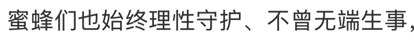 ：蜜蜂们也始终理性守护、不曾无端生事 