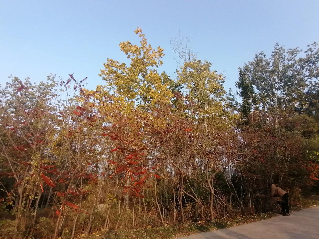 #秋日生活打卡#