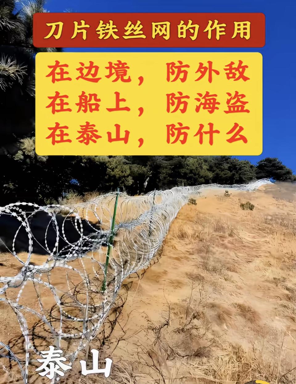 这个泰山的刀片网是做什么的？