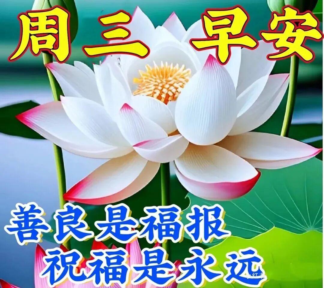 让开心陪我们欢笑，让快乐把我们拥抱，让健康陪我们到老，让生活越来越美好！晨安！