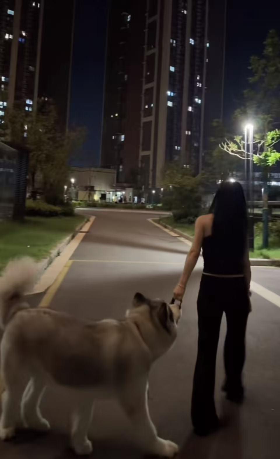 杭州“限狗令”引爆全网骂战！怕狗的人直呼太解气，巴不得全国都照搬这套规矩。养狗的