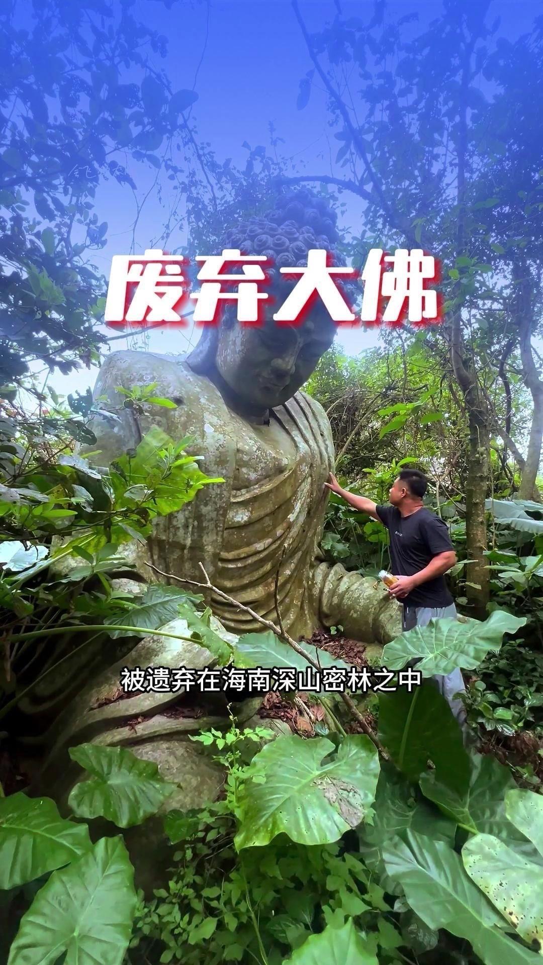 🌿国内最凄凉的大佛被遗弃在海南深山密林之中，常年无人供奉。佛像四周荒草遍布，没