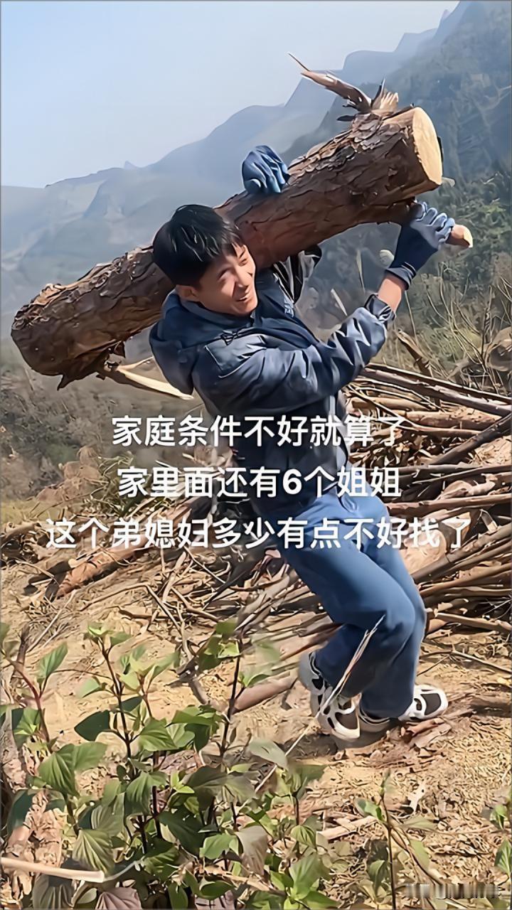 家里姐姐林薇是个雷厉风行的人，是家里名副其实的顶梁柱。然而在终身大事上，她却因为