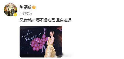 佟丽娅陈思诚内娱离婚模板佟丽娅白月光前妻 哇塞，佟丽娅和陈思诚这也是内娱离婚模板