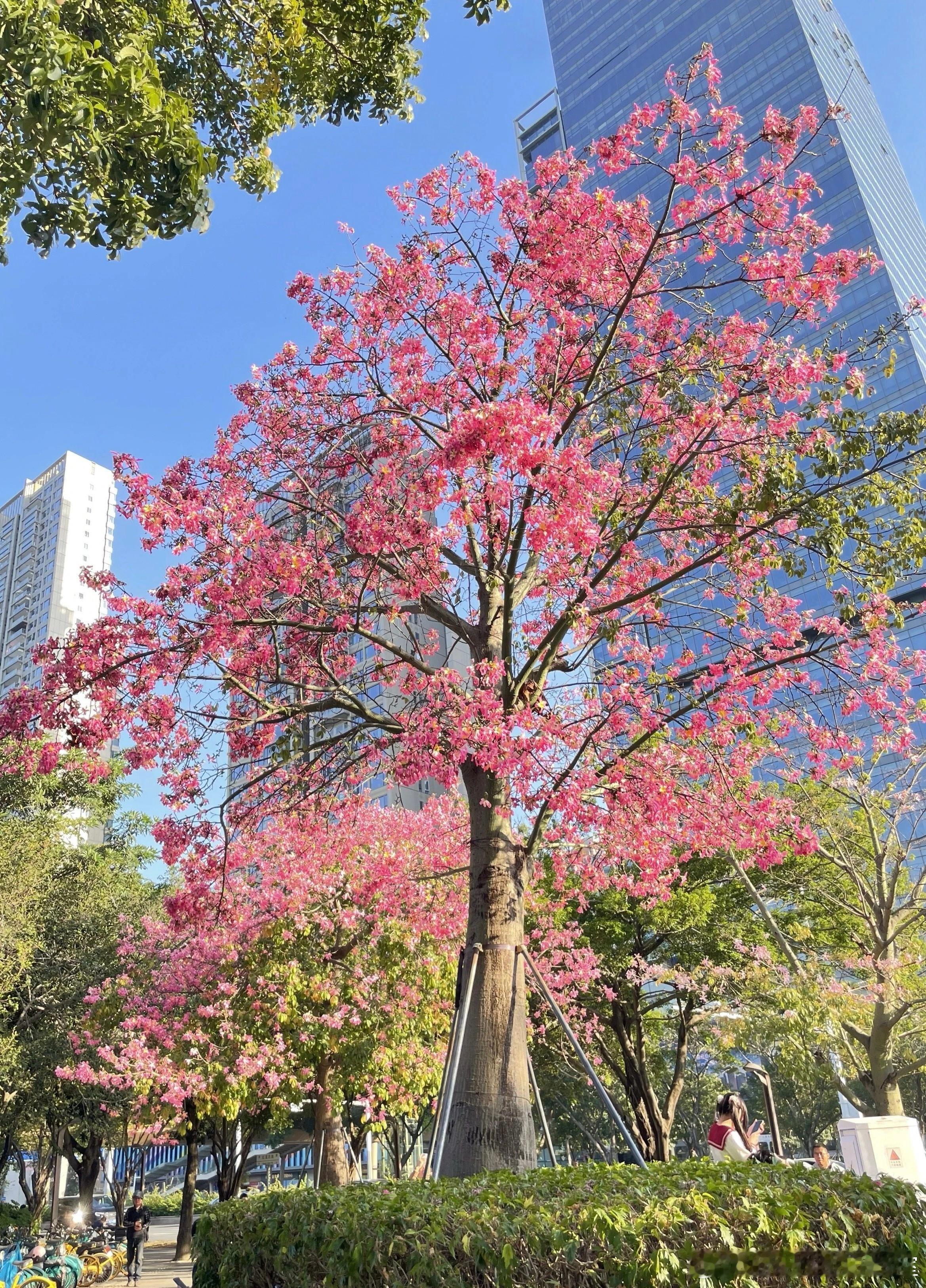 老板一定要采用投资思维来布局专利，而不是省成本申请专利的真正目的在于实现商业上的