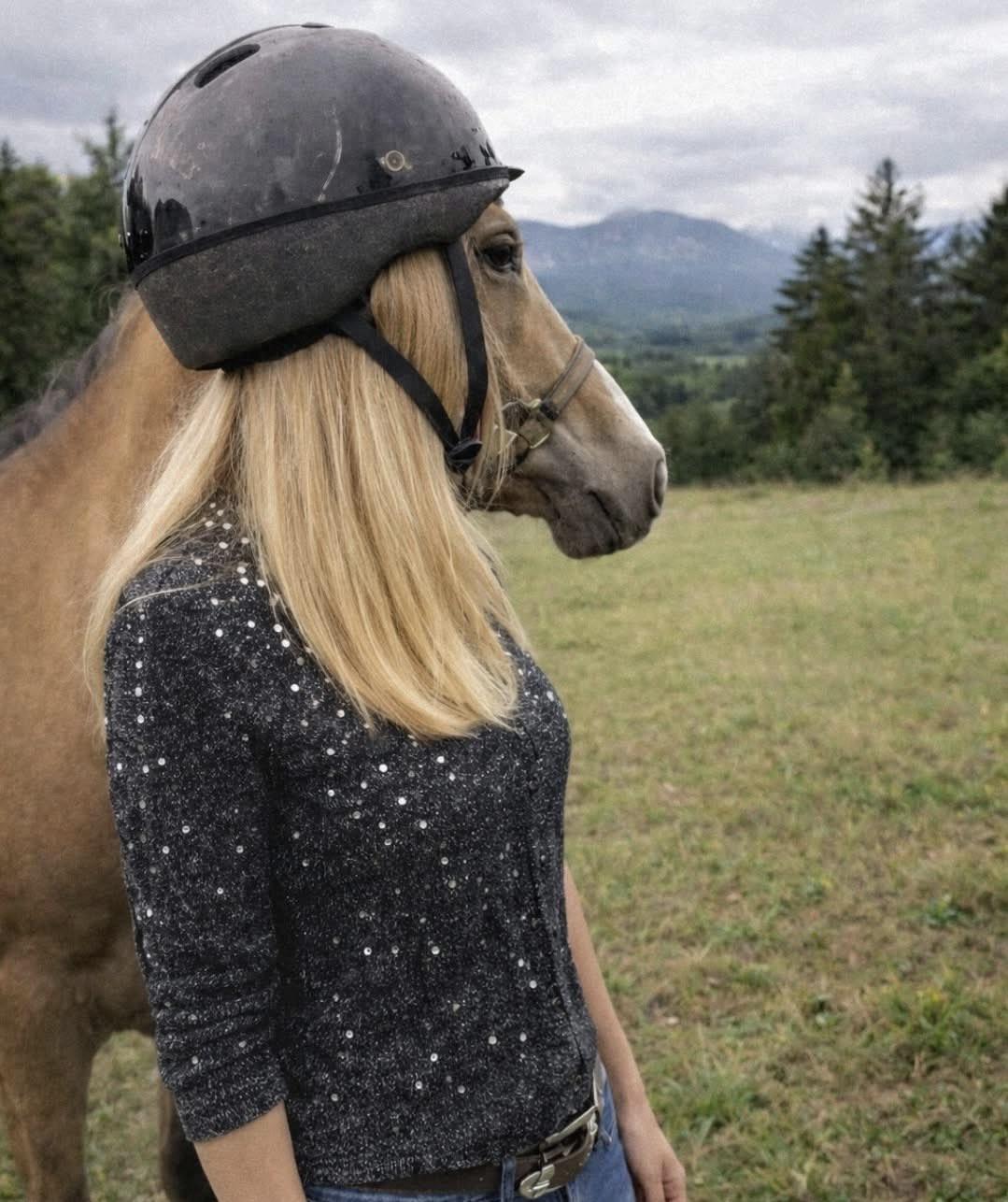 乍看只是张普通的人马合影，但整个画面因为角度显得特别逗趣。