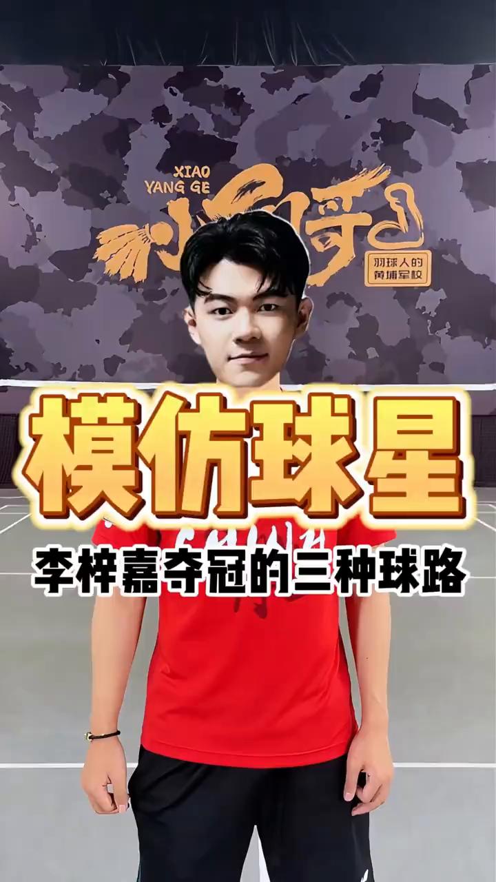 模仿球星李梓嘉夺冠的三种球路。
李梓嘉最喜欢用的三个夺冠球路：
·接发抢搓，对方