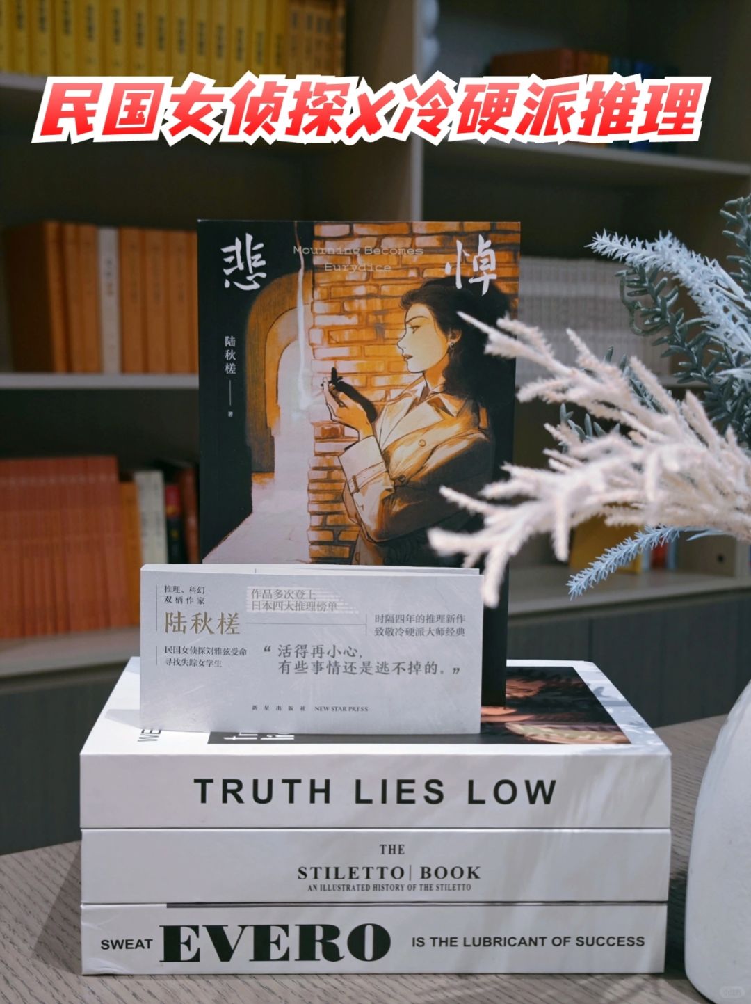 民国女侦探来啦，姐姐时隔4年再出新作～