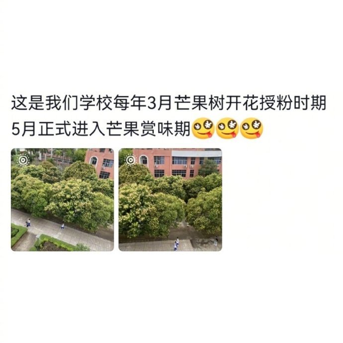 南方学校和果园没区别
