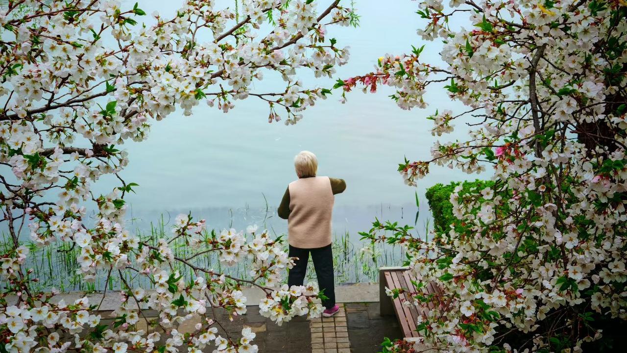 往后余生，就守着这份简单，把日子过成自己喜欢的模样，不求大富大贵，只求家人安康，