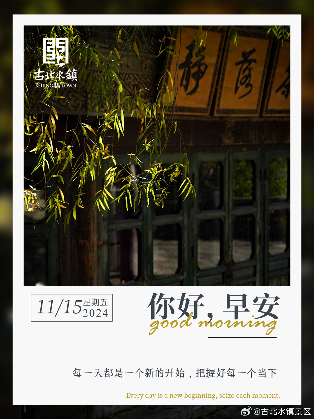 每一天都是一个新的开始，把握好每一个当下。早安，宝子们~ ​​​